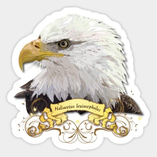 American Pigargo Sticker